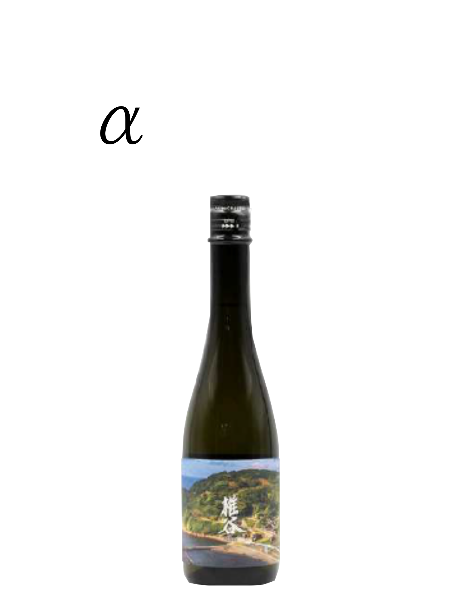 椎谷 タイプα 500ml 阿部酒造